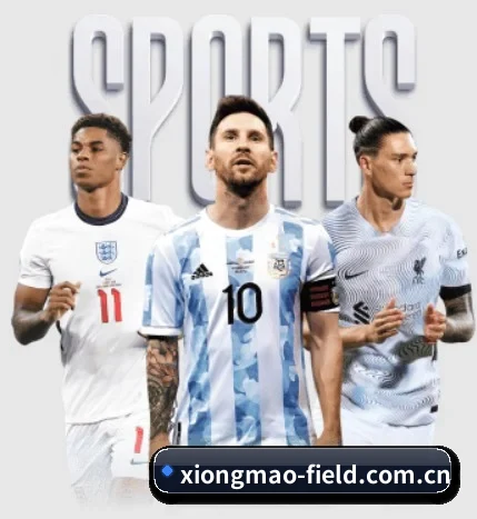 五大服务分区,信息按项目分类 - 多运动项目内容板块