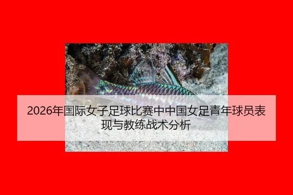 2026年国际女子足球比赛中中国女足青年球员表现与教练战术分析