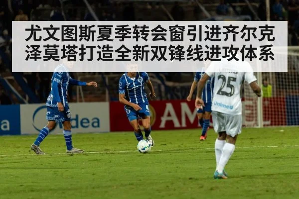尤文图斯夏季转会窗引进齐尔克泽莫塔打造全新双锋线进攻体系